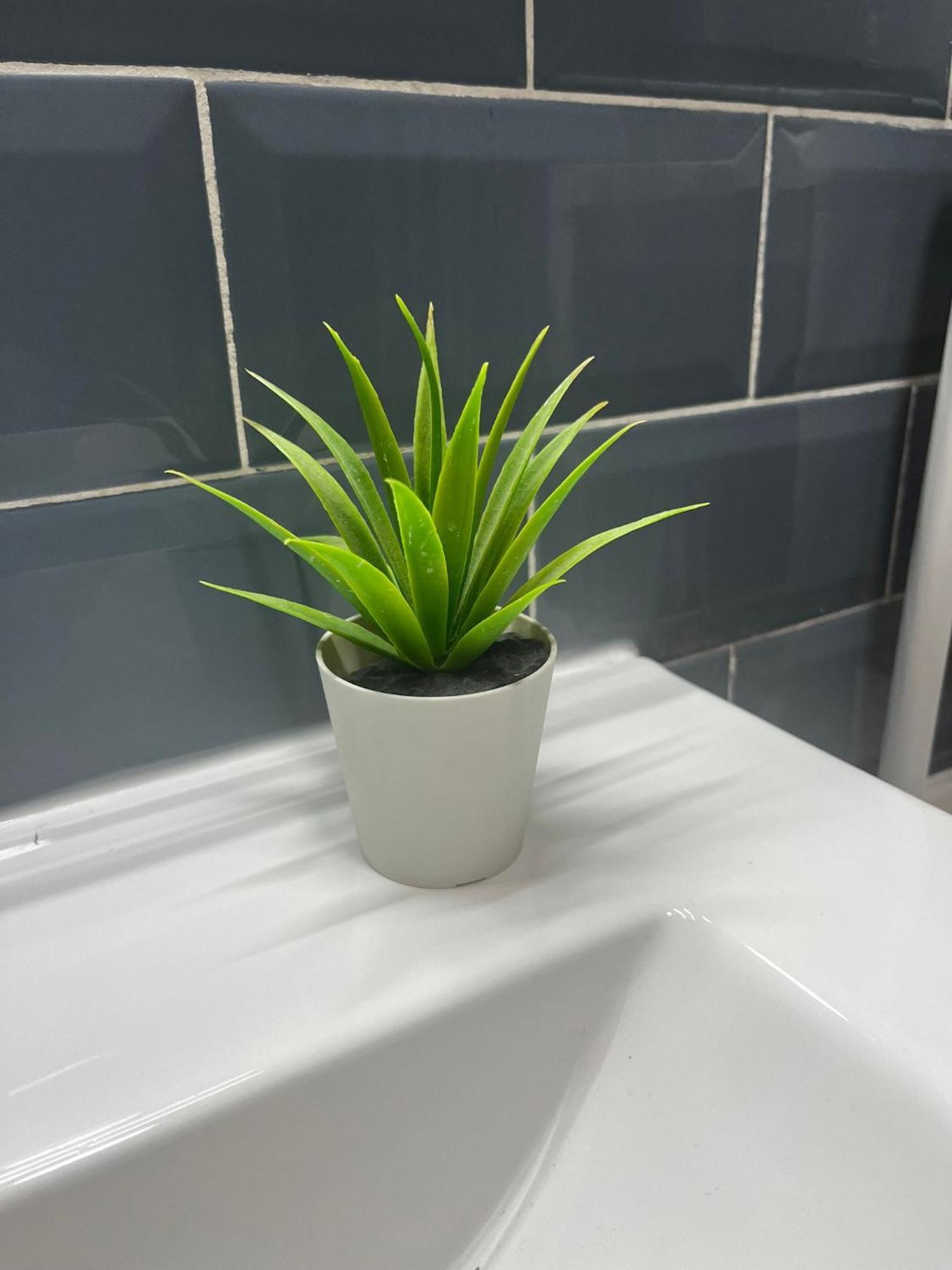 Nicholas Apartment Năvodari Zewnętrze zdjęcie